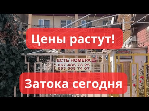 Видео: Недорогой отдых на Черном море. Курорт Затока