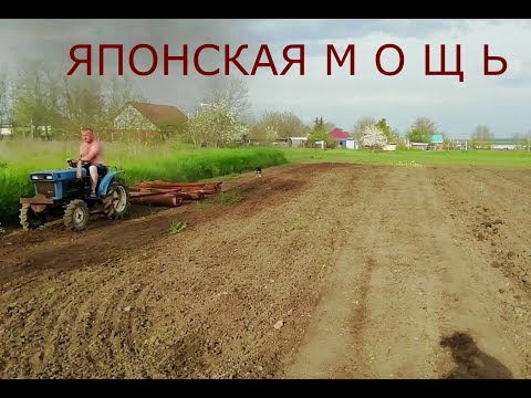 Видео: Как я сею СУДАНКУ, Весь процесс от А до Я.