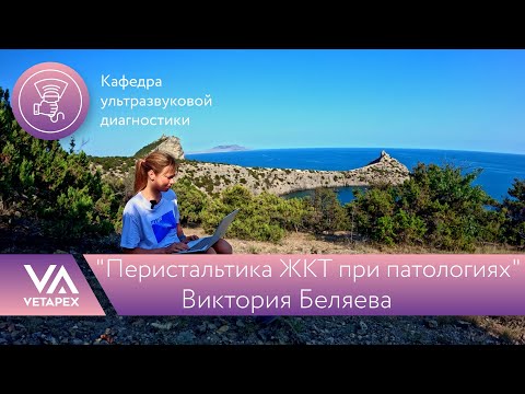 Видео: Кафедра УЗИ "Перистальтика ЖКТ при патологиях"