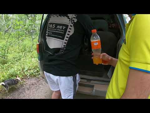 Видео: Налычевская долина
