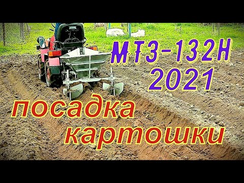 Видео: Посадка картошки 2021 мини трактором МТЗ 132н