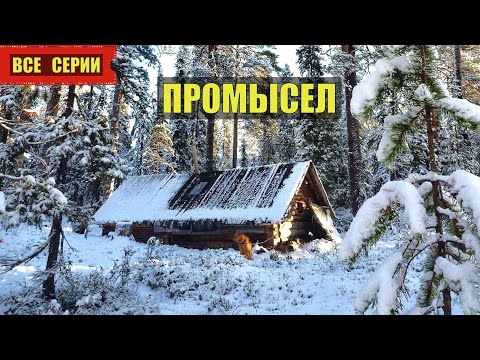Видео: ПРОМЫСЕЛ ВСЕ СЕРИИ в ТАЙГЕ ЗИМОВЬЕ ИЗБУШКА ОХОТНИКА С СОБАКОЙ ИСТОРИИ из ЖИЗНИ ЖИЗНЬ В ЛЕСУ