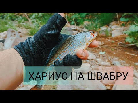 Видео: Хариус в ручье. Хариус ловим на поролон!!