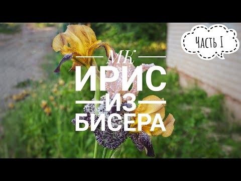 Видео: МК Ирис из бисера | Часть I