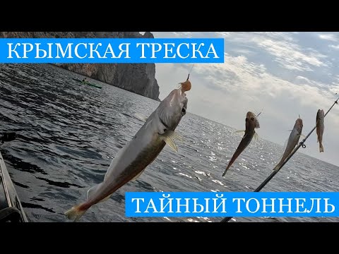Видео: Крымская "ТРЕСКА" и тайный ТОННЕЛЬ к морю в Балаклаве!! Первые синие окуни в последний теплые дни!)
