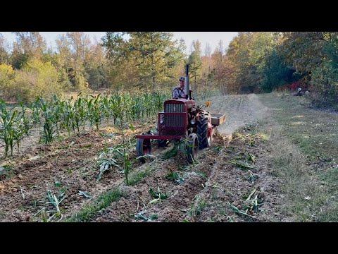 Видео: Посадка осенних покровных культур