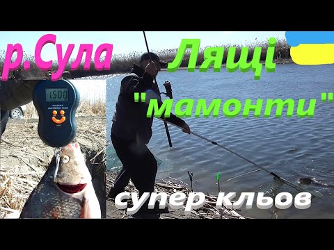 Видео: #Сула # РИБА ПІШЛА #РибачуЯкУмію