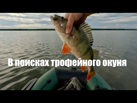 Видео: В поисках трофейного окуня 2025. Начало. Июль. 