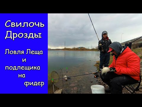 Видео: Ловля Леща и подлещика на фидер.Свислочь.Дрозды