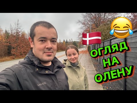 Видео: ОГЛЯД НА ОЛЕНУ. ЯК ТУТ НЕ РОЗКАБАНІТИ, КОЛИ КОРМЛЯТЬ ВІД ДУШІ?) АДМІН СМІЄТЬСЯ З МЕНЕ) 