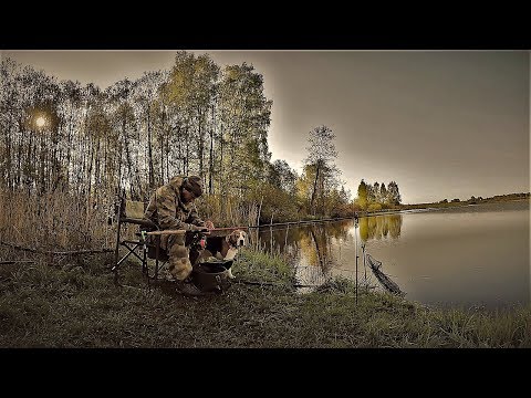 Видео: Рыбалка С Ночёвкой. Сливовый Пуф.Фидер(донка) Там Где Чудища Живут.