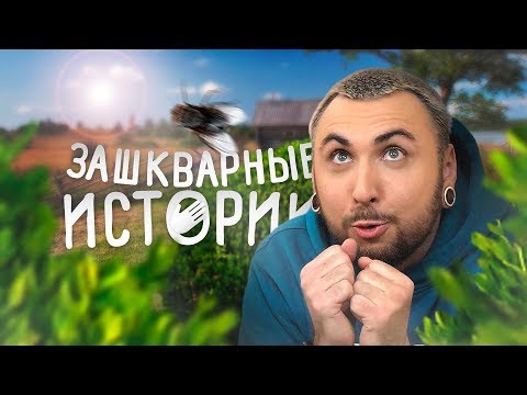 Видео: ЗАШКВАРНЫЕ ИСТОРИИ #8: МАКС +100500 СЕЛ ПОСР*ТЬ НЕ В ТЕ КУСТЫ