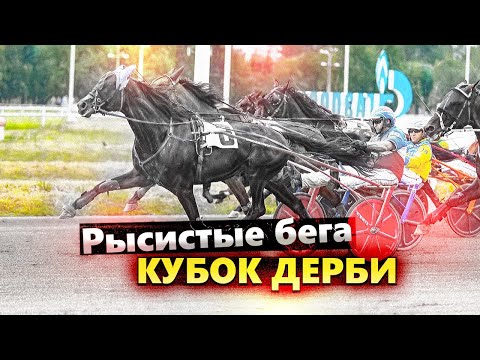 Видео: РЫСИСТЫЕ БЕГА