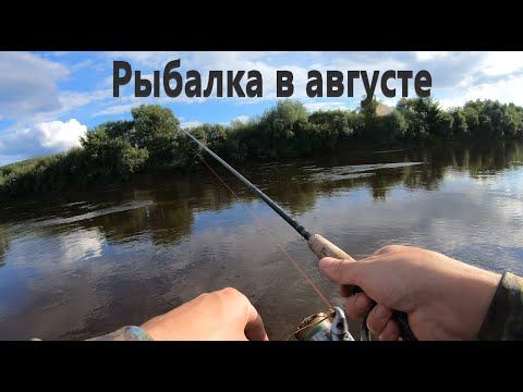 Видео: Ловля на быстрой реке на спиннинг. Кренк Pontoon 21 Hypnose 38мм 3.8г.