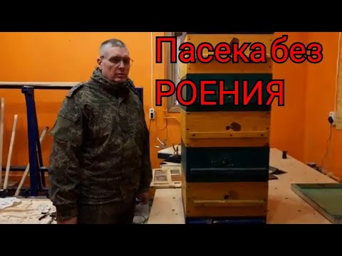 Видео: ОСТАНОВИТЬ РОЕНИЕ НА ПАСИКЕ,100٪ УНИКАЛЬНАЯ СИСТЕМА.