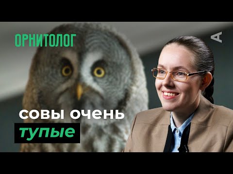 Видео: 10 глупых вопросов ОРНИТОЛОГУ
