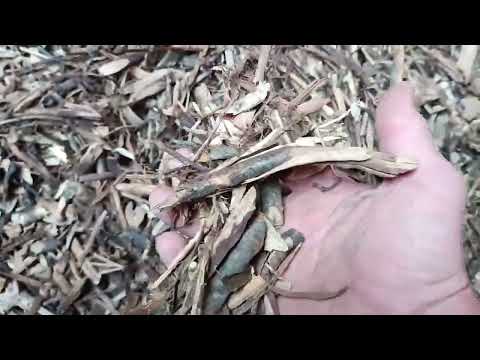 Видео: Змінилась фракція щепи, появились проблеми із зворушувачем.