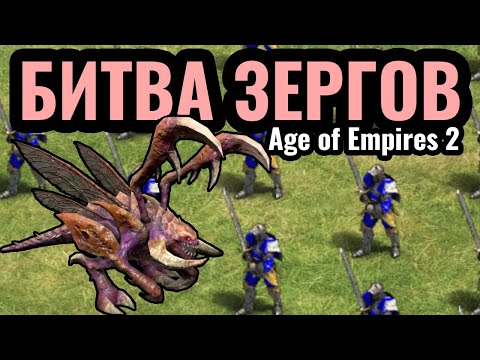 Видео: DauT и СПАМ как у ЗЕРГОВ: Пехотные мясные битвы в Age of Empires 2