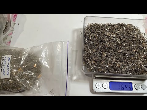 Видео: Золото из подготовленного металла советских пластиковых микросхем