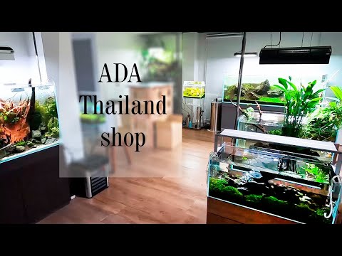 Видео: Магазин ADA Thailand: прекрасные аквариумы в Бангкоке