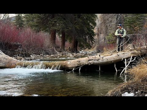 Видео: Рыбалка нахлыстом и кемпинг в Колорадо