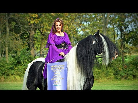 Видео: Лошади Лейк-Ридж Джипси