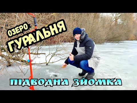 Видео: ХОЛОДНО, АЛЕ ВЕСЕЛО / ЗИМОВИЙ ВІДПОЧИНОК НА КРИЗІ / ПІДВОДНА ЗЙОМКА / РИБОЛОВЛЯ НА ОЗЕРІ ГУРАЛЬНЯ