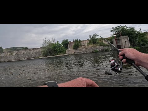 Видео: Риболов на пъстърва по река Въча на спининг и муха