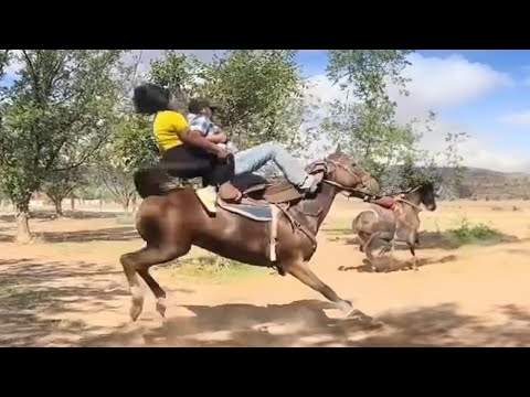 Видео: Катание на лошади с ребёнком… и неожиданный финал! 👶🐎 🤣 Самое смешное видео о лошадях 2025 года 😂🐴