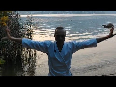 Видео: Практика (282) #цигун #гимнастика