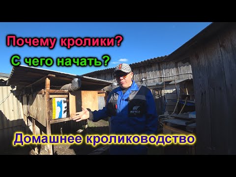 Видео: Почему кролики? С чего начать? Инструкция к применению.