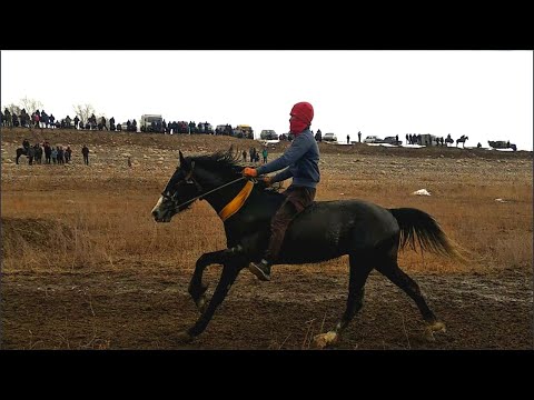 Видео: Ат чабыш(аягына чейин кор)