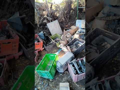 Видео: 30 октября 2025 г.