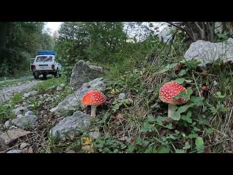 Видео: Кавказ конец августа 2025 г. На водопад Чёртова мельница КЧР.  Часть 6.