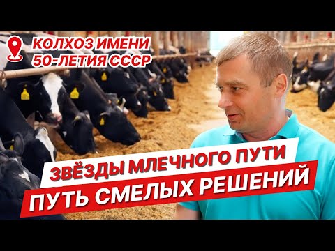 Видео: Путь смелых решений | Владимир Жильцов | Колхоз имени 50-летия СССР | Звезды млечного пути