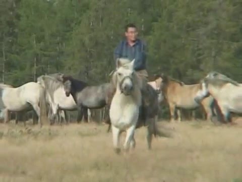 Видео: Священные горы Кисилях, Якутия