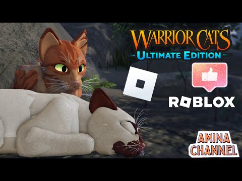 Видео: Как играть в коты-воители?|Roblox| How to play warrior cats?