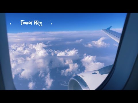 Видео: Японоор аялсан тэмдэглэл/ Japan vlog 🔥✈️🇯🇵🌸