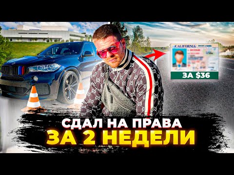 Видео: Водительские права в США |  Калифорнии - От А до Я !