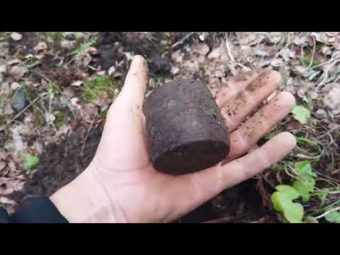 Видео: Металлокоп. Апрель 2024. Чудный лес