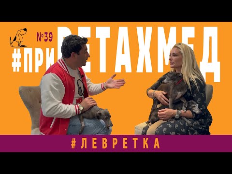 Видео: №38. Секрет породы. Левретки