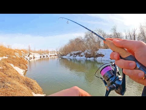 Видео: Рыбалка 2022 на спиннинг ранней весной. Микроджиг с берега. Оттаяла чистая Малая речка!