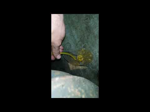 Видео: Замена тормозухи на Toyota fielder