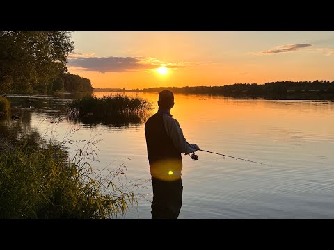 Видео: Рыбалка на Волге в Твери. Ловля окуня с берега.