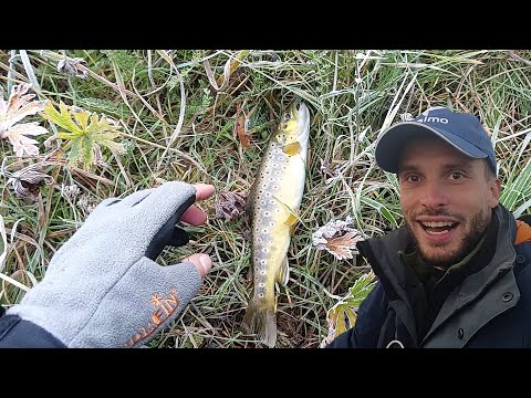 Видео: ЗИМНЯЯ СКАЗКА. Рыбалка на малой речке в начале зимы.