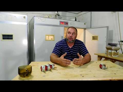 Видео: Форсунки в инкубатор//Опыт использования