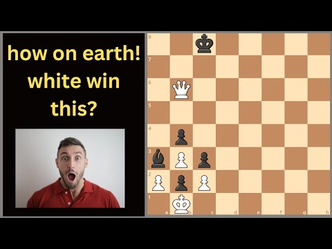 Видео: Какого черта белые могут выиграть!