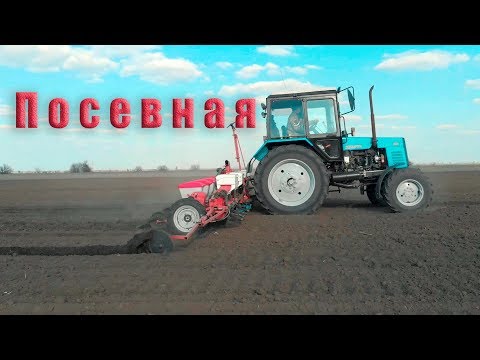 Видео: Сеем подсолнух 2019! МТЗ 892.