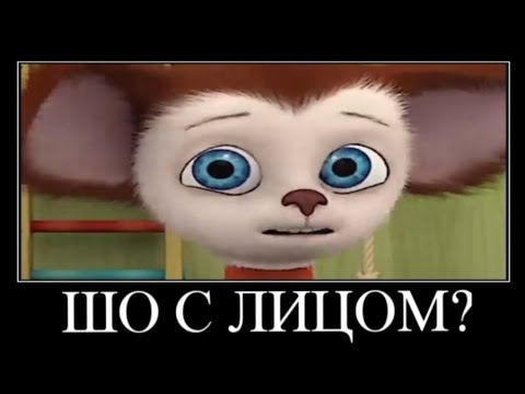 Видео: Муд Барбоскины демотиватор 14