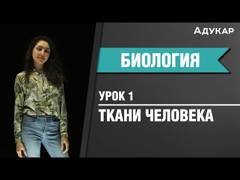 Видео: Ткани человека | Биология ЕГЭ, ЦТ